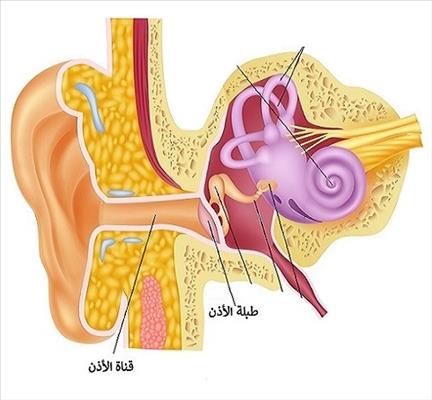 كيفية علاج أنماط ضعف السمع القابل للعلاج